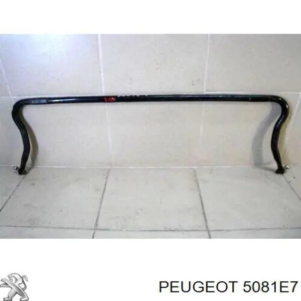 Стабилизатор поперечной устойчивости передний Peugeot/Citroen 5081E7 цена, от 9.56 USD