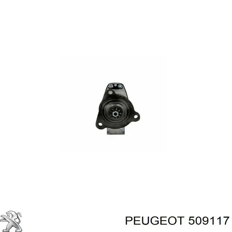 509117 Peugeot/Citroen болт (гайка крепежа)