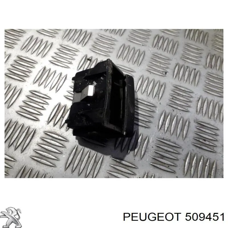 509451 Peugeot/Citroen