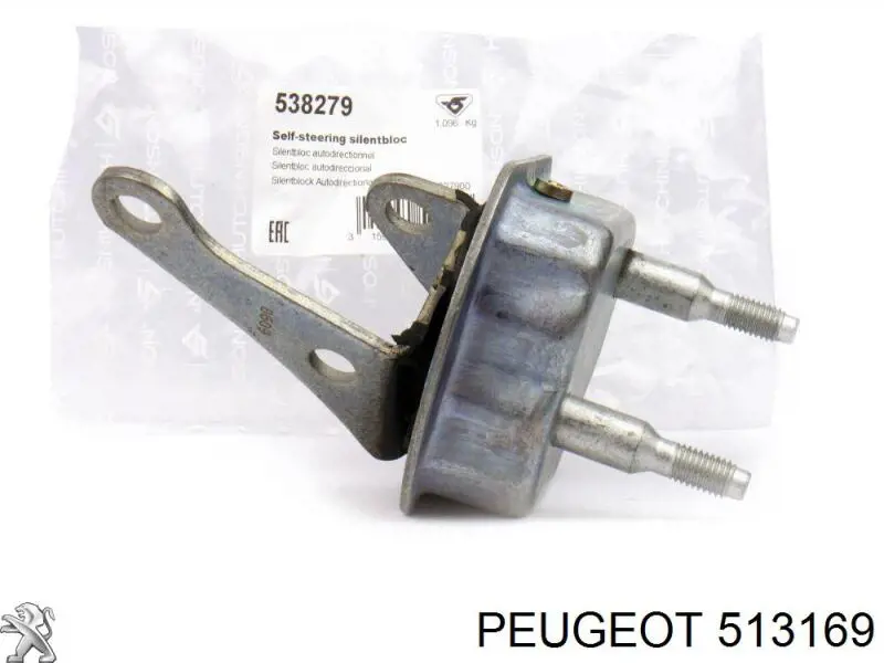 513169 Peugeot/Citroen