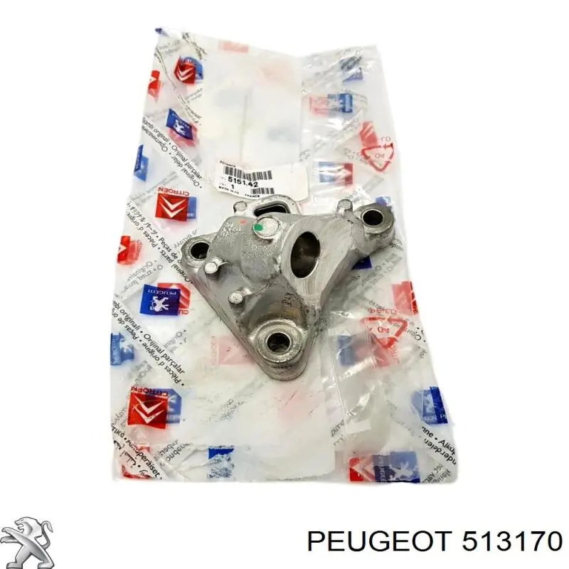 Подушка задней балки Peugeot/Citroen 513170