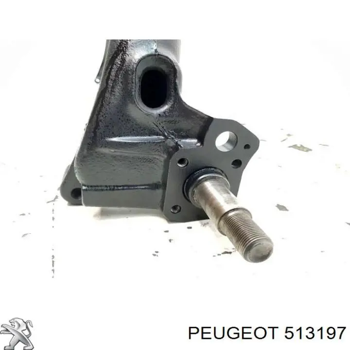 Купить 513197 Peugeot/Citroen Сайлентблок задней балки