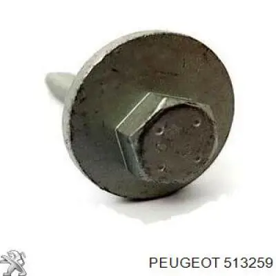 Купить 2529002KIT Febest Болт крепления заднего развального рычага, внутренний
