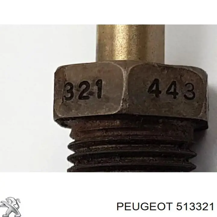 513321 Peugeot/Citroen 