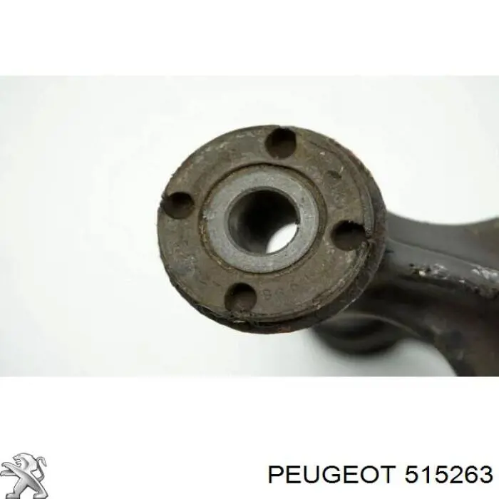 Купить 515263 Peugeot/Citroen 