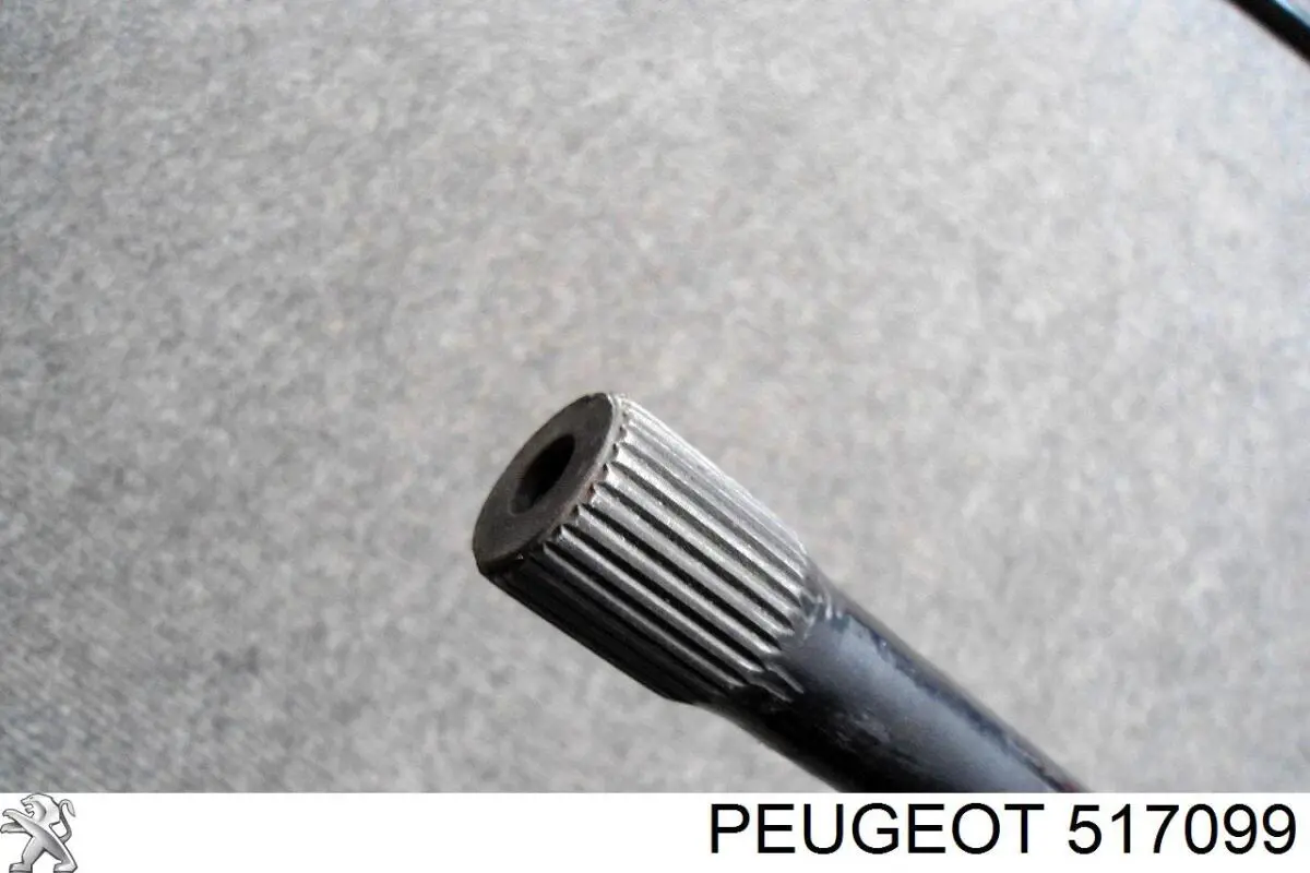 Estabilizador trasero 517099 Peugeot/Citroen