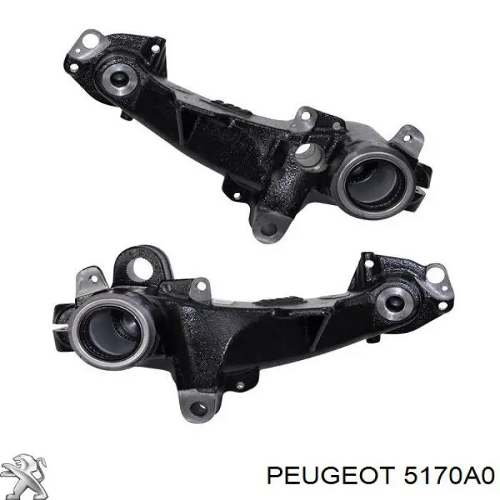 Купить 5170A0 Peugeot/Citroen Задний стабилизатор поперечной устойчивости