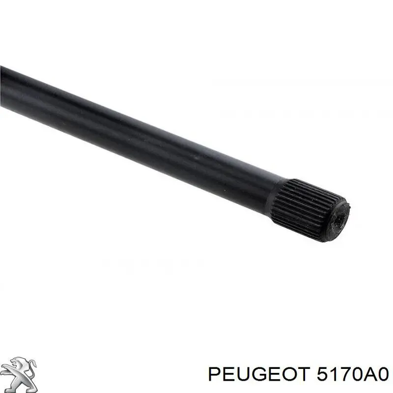 Стабилизатор задний 5170A0 Peugeot/Citroen