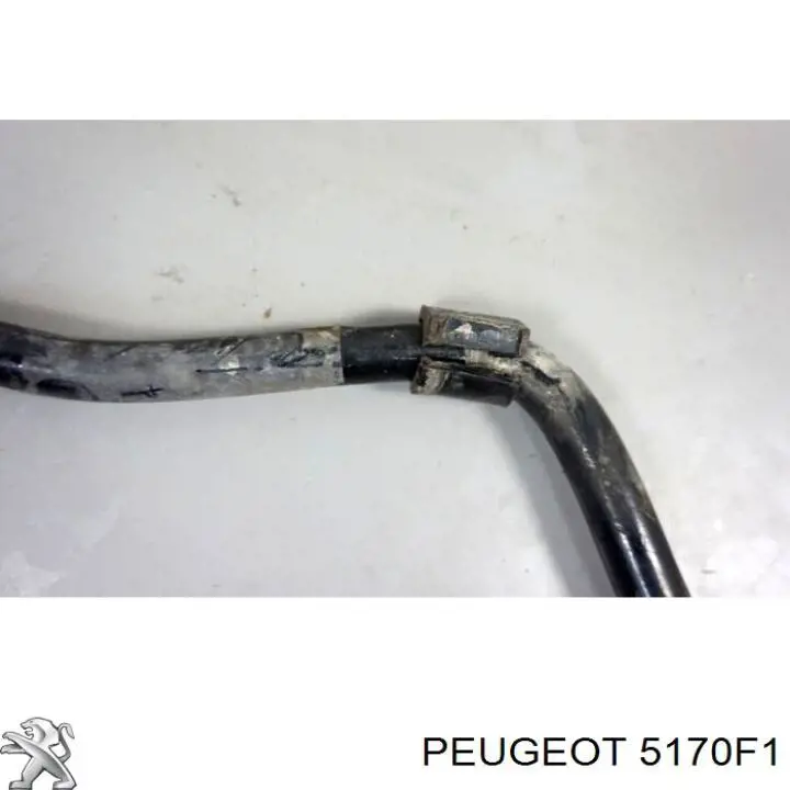 Тяга поперечная реактивная задней подвески Peugeot/Citroen 5170F1