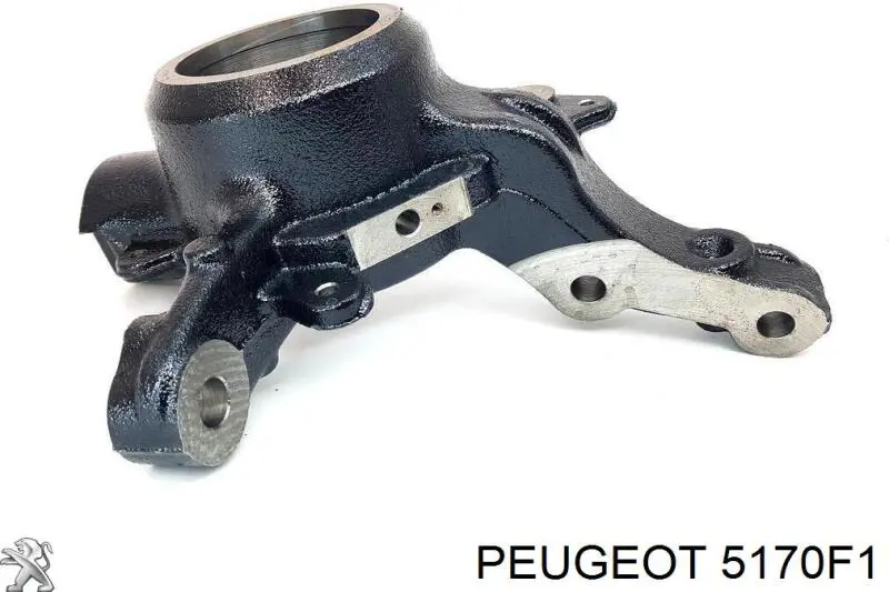 Штанги реактивные задней подвески Peugeot/Citroen 5170F1 цена, от 74.21 USD