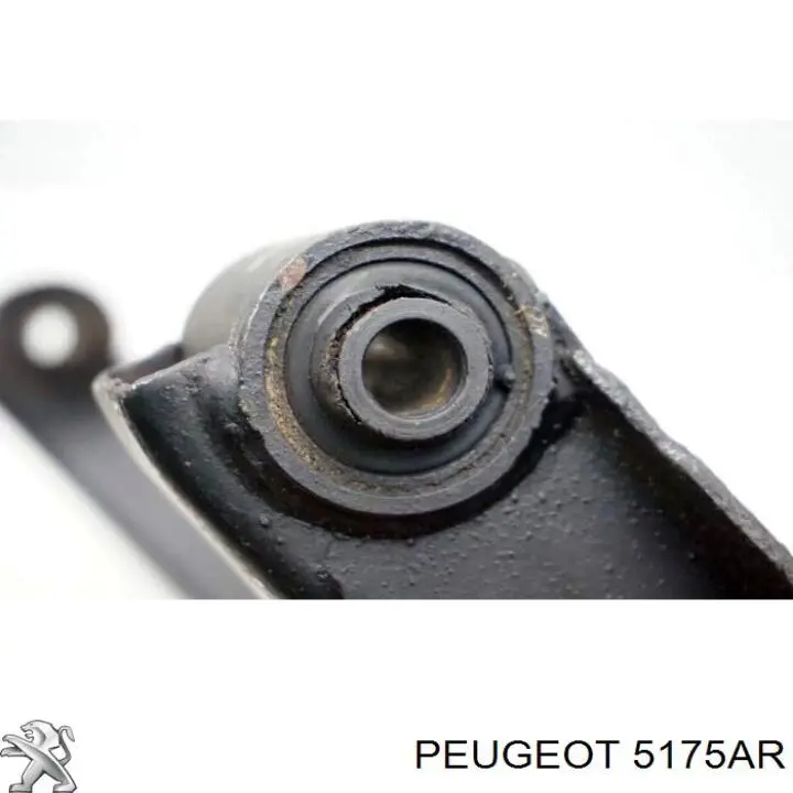 Braço oscilante inferior esquerdo de suspensão traseira para Peugeot 607 (9D, 9U)
