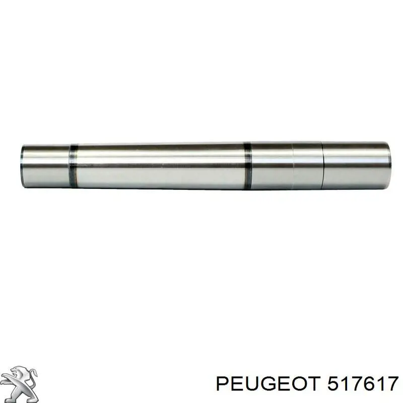517617 Peugeot/Citroen опора крепления торсионов задних