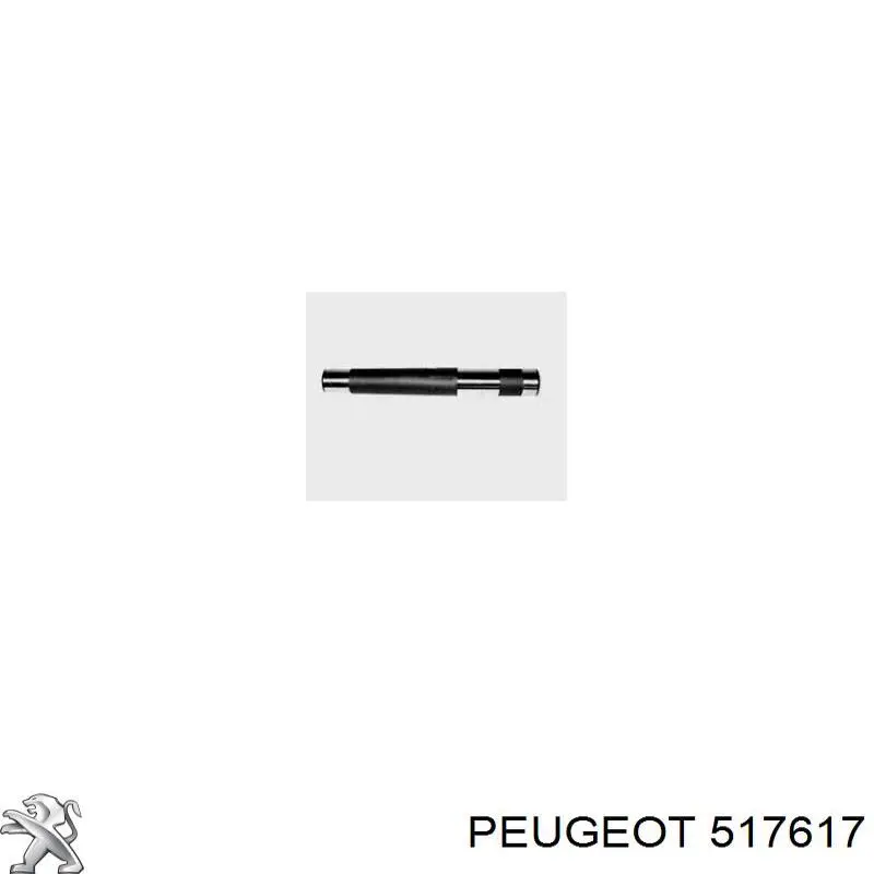 517617 Peugeot/Citroen Опора крепления торсионов