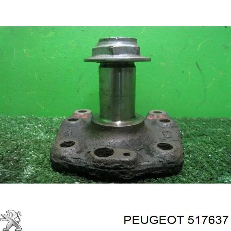 Купить 517637 Peugeot/Citroen Поворотный кулак задний
