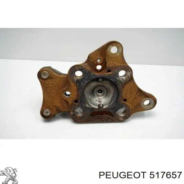 Купить 517657 Peugeot/Citroen Цапфа (поворотный кулак) задний левый