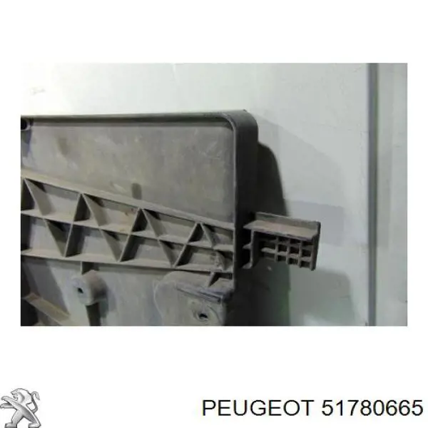 51780665 Peugeot/Citroen 