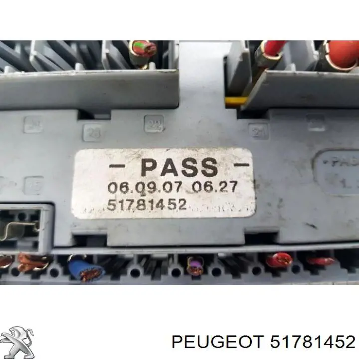 Купить 51781452 Peugeot/Citroen 