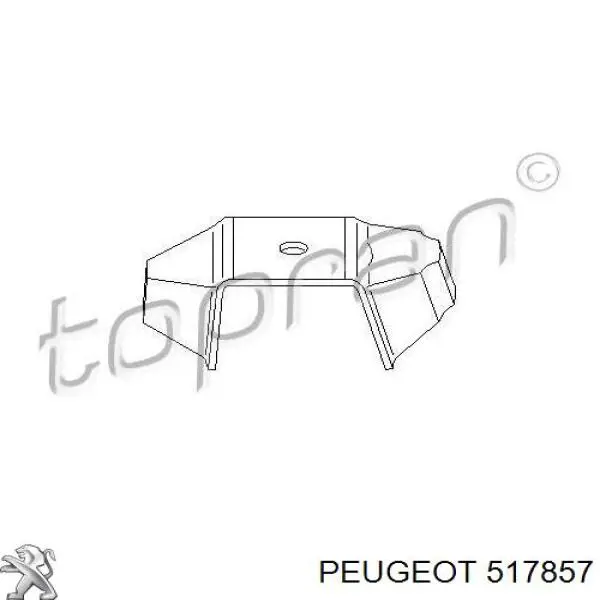 Soporte de barra estabilizadora trasera 517857 Peugeot/Citroen