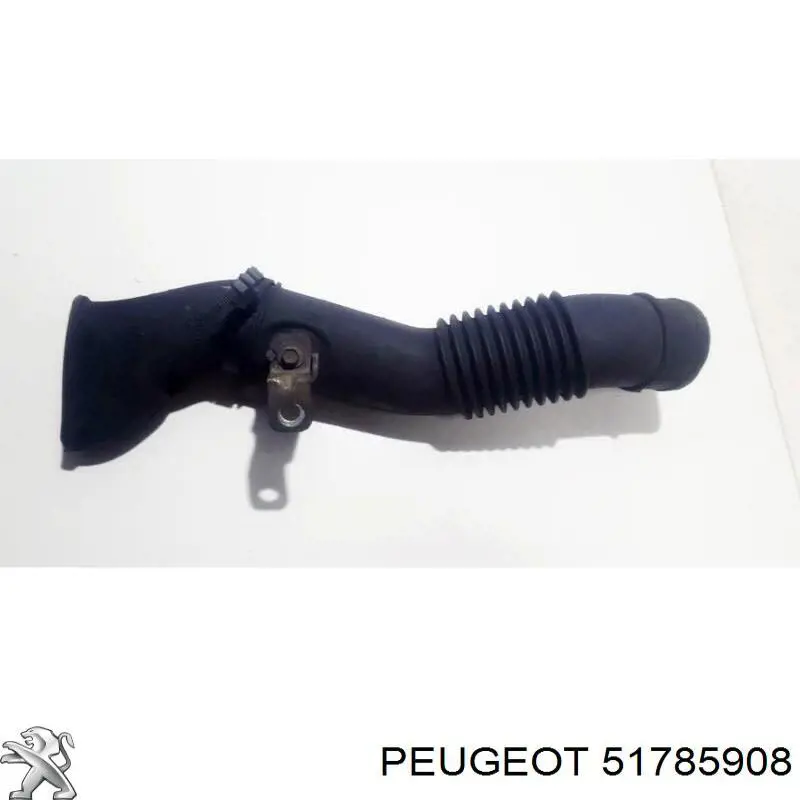 51785908 Peugeot/Citroen 