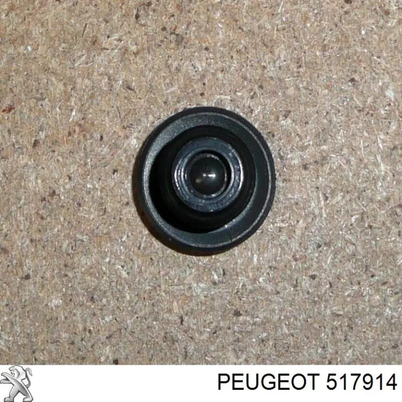 Игольчатый подшипник задней балки Peugeot/Citroen 517914 цена, от 0.27 USD