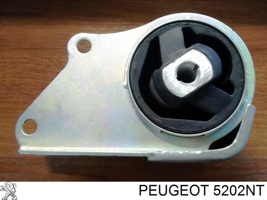 Амортизатор передний правый 5202NT Peugeot/Citroen