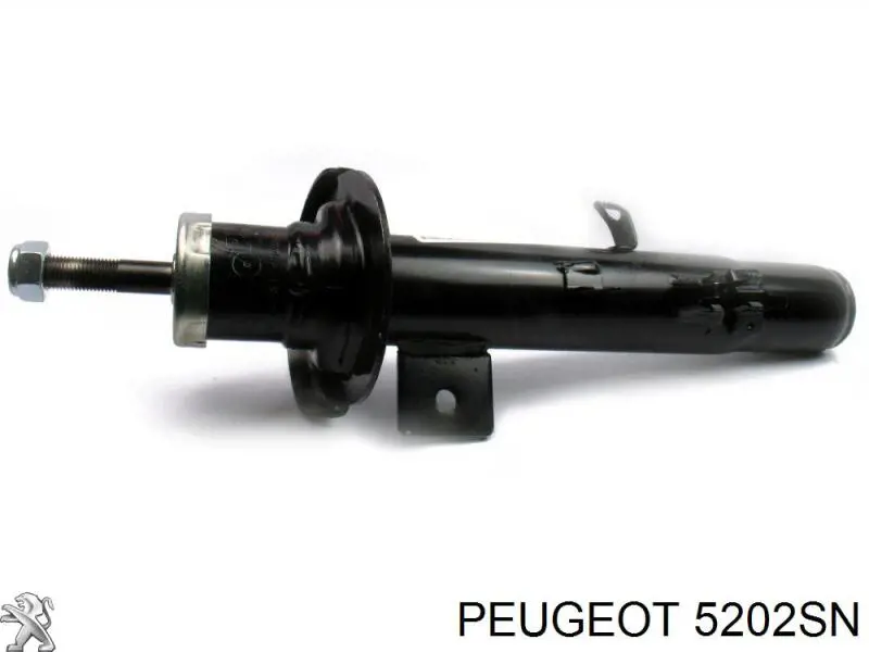 00005202SN Peugeot/Citroen