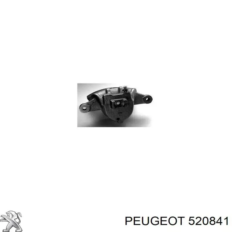 520841 Peugeot/Citroen