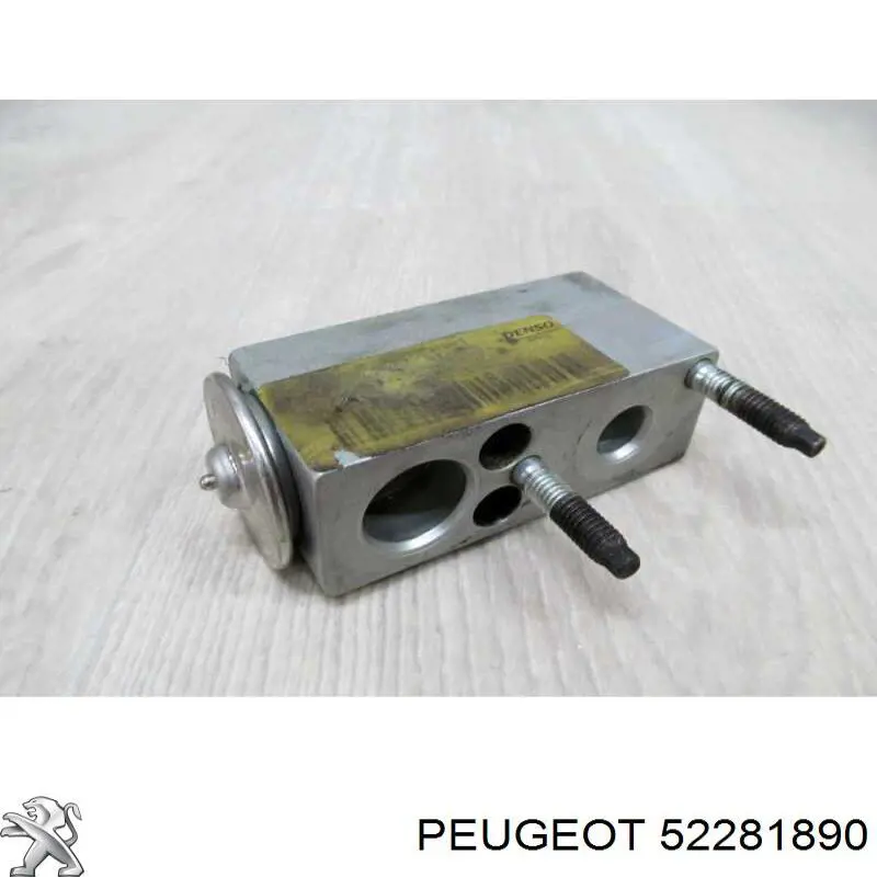 52281890 Peugeot/Citroen 