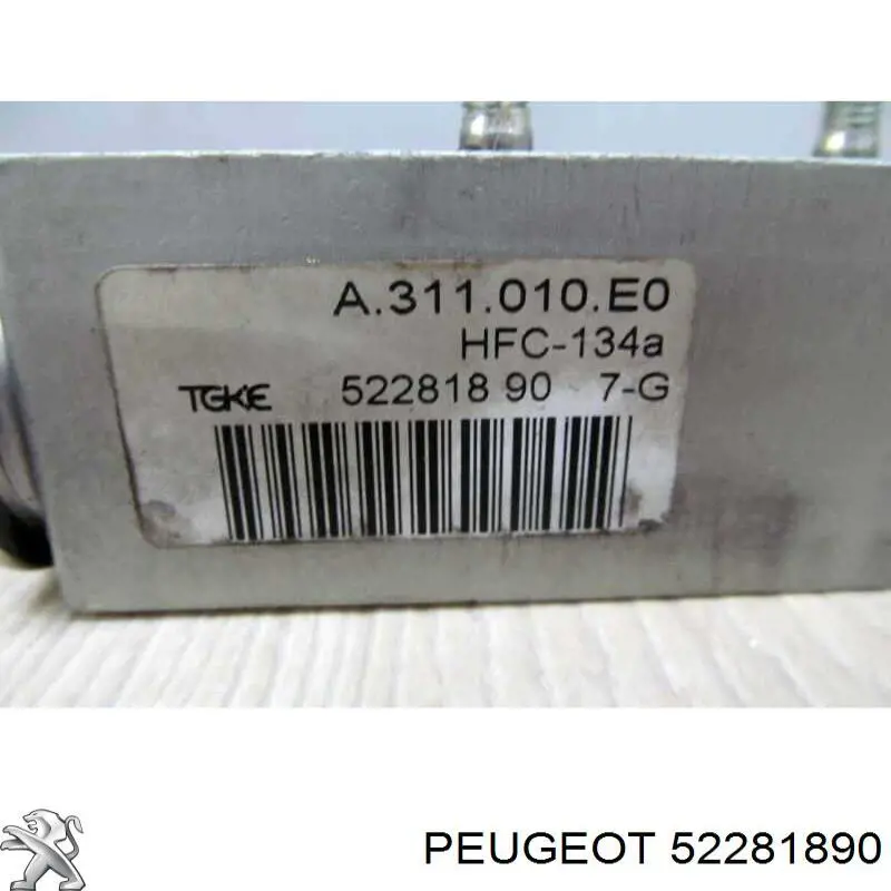  52281890 Peugeot/Citroen