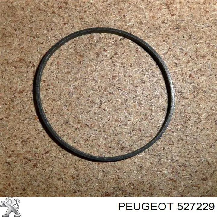 Уплотнителное кольцо цилиндра амортизатора Peugeot/Citroen 527229 цена, от 3.80 USD