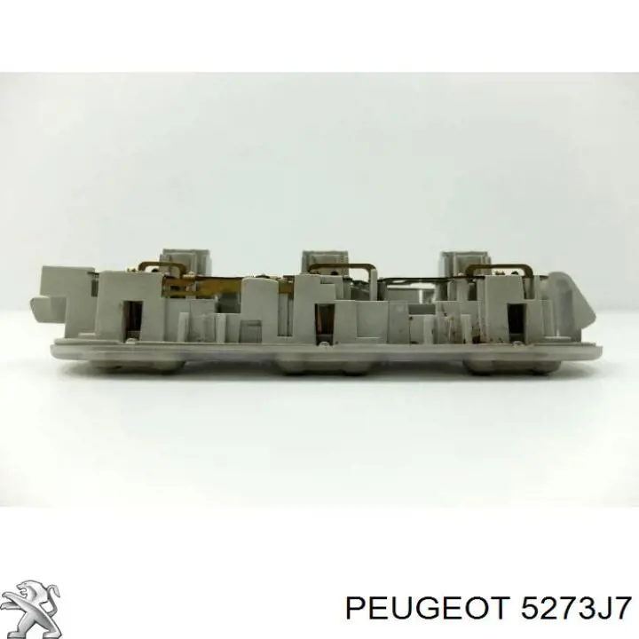 5273J7 Peugeot/Citroen 