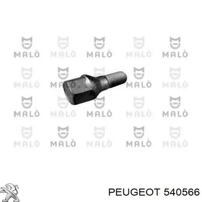 540566 Peugeot/Citroen parafuso