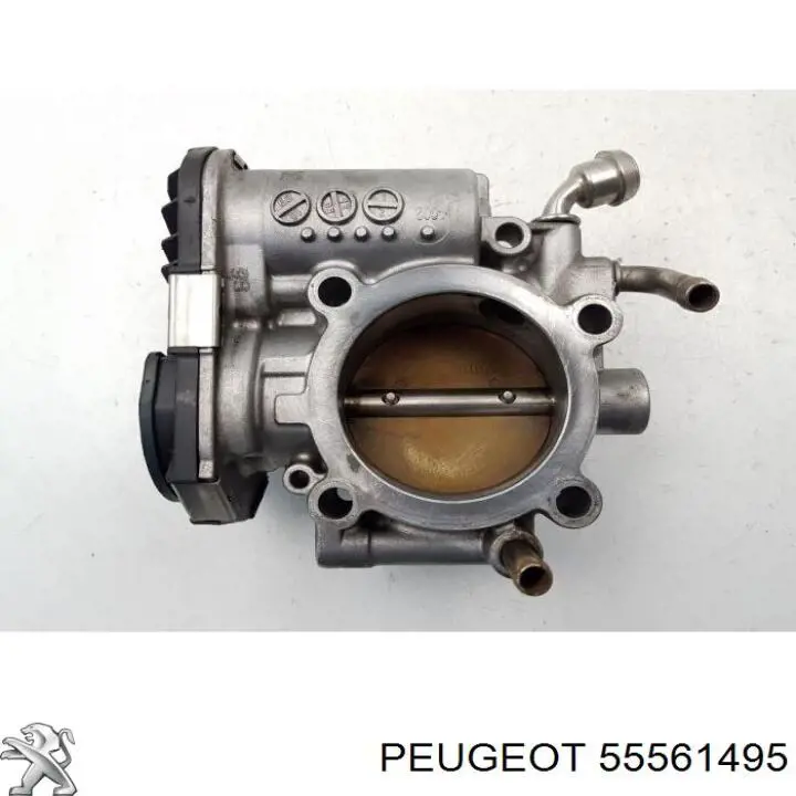 55561495 Peugeot/Citroen válvula de borboleta montada