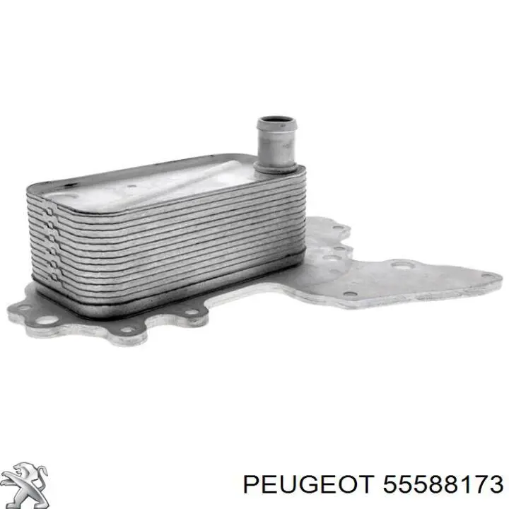 Радиатор масляный (холодильник), под фильтром Peugeot/Citroen 55588173