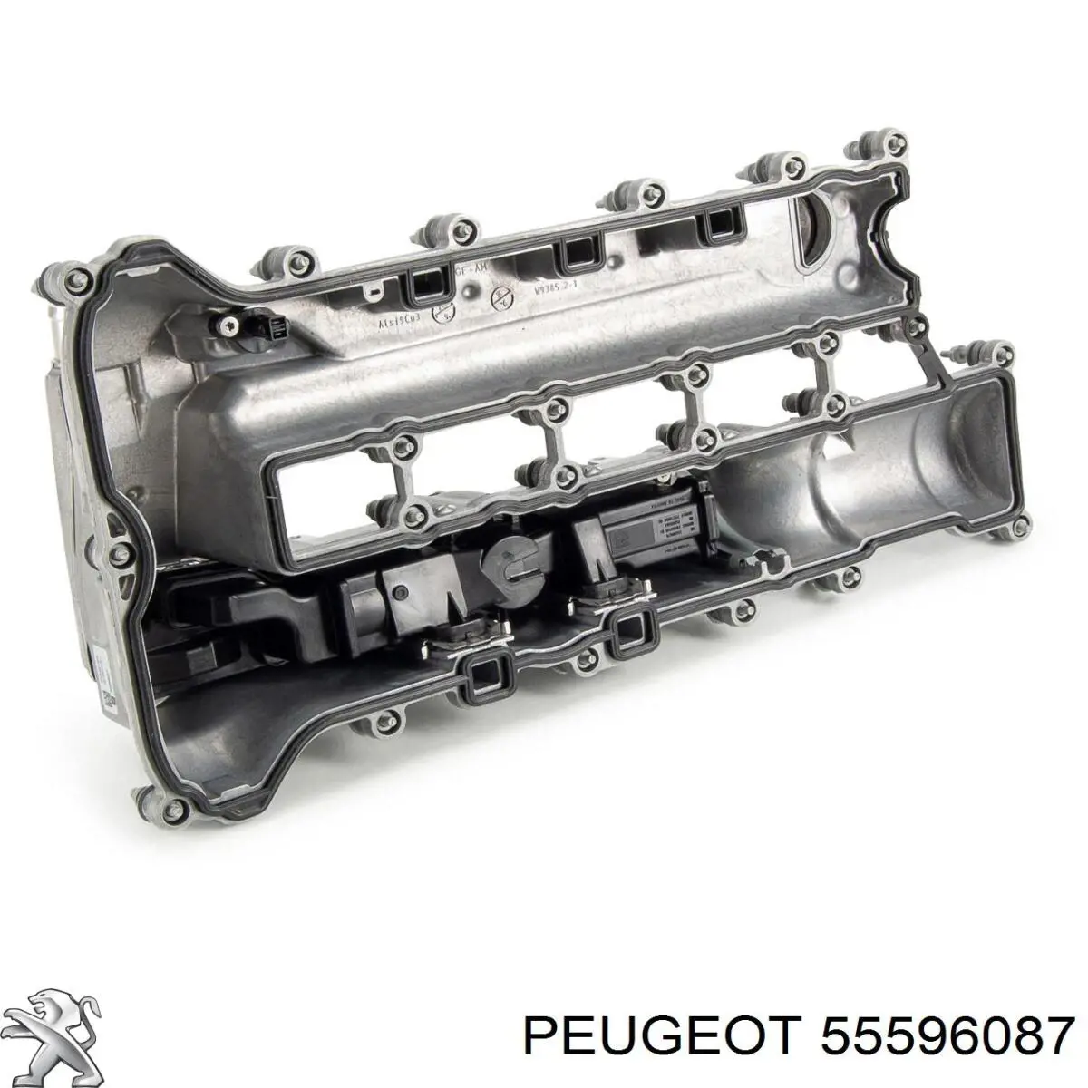 Крышка двигателя на Opel Insignia A G09