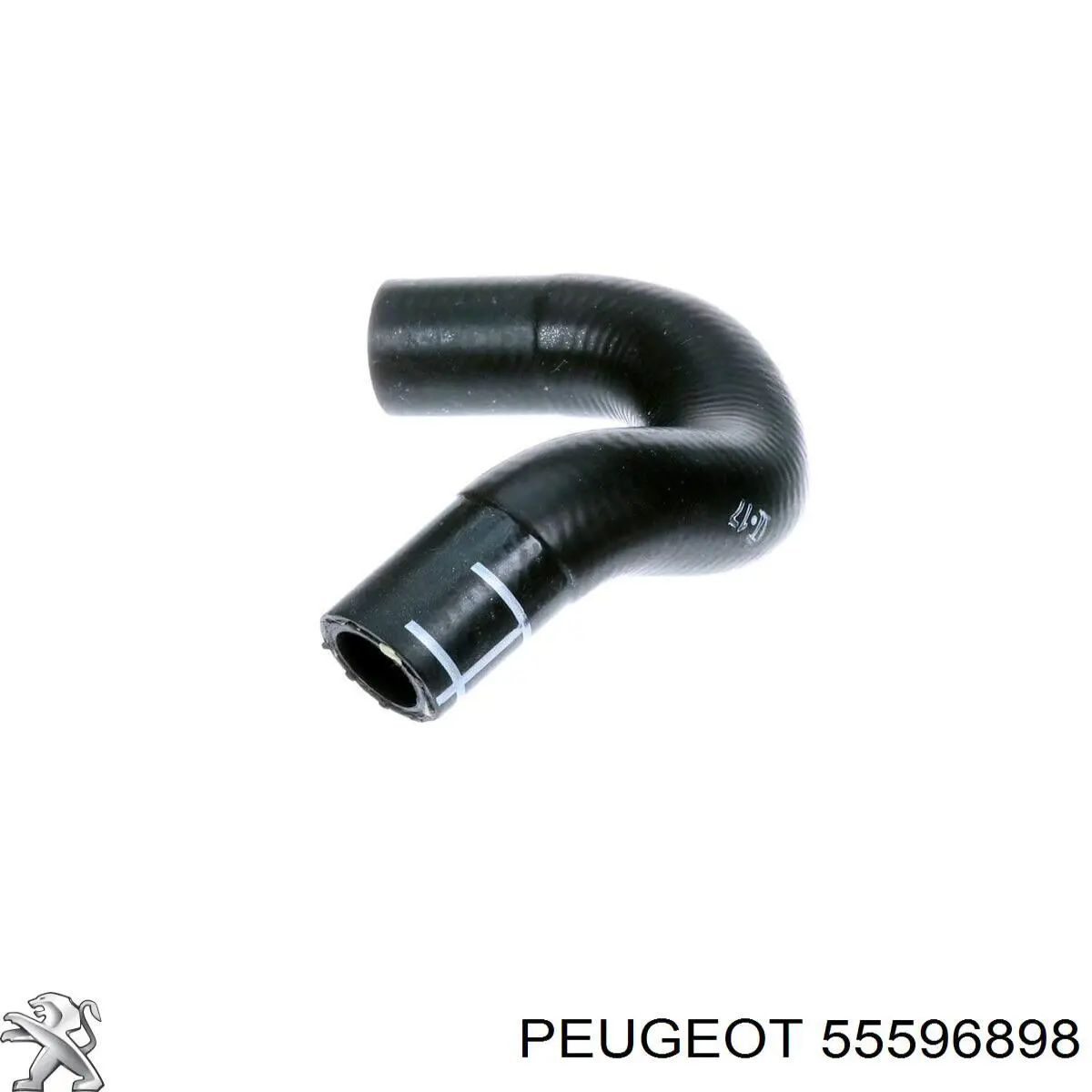 Отводная труба масляного радиатора Peugeot/Citroen 55596898 цена, от 6.80 USD