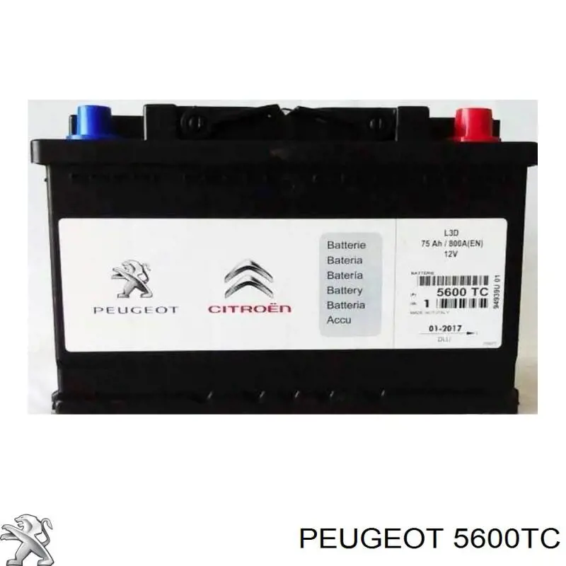 Batería de arranque 5600TC Peugeot/Citroen