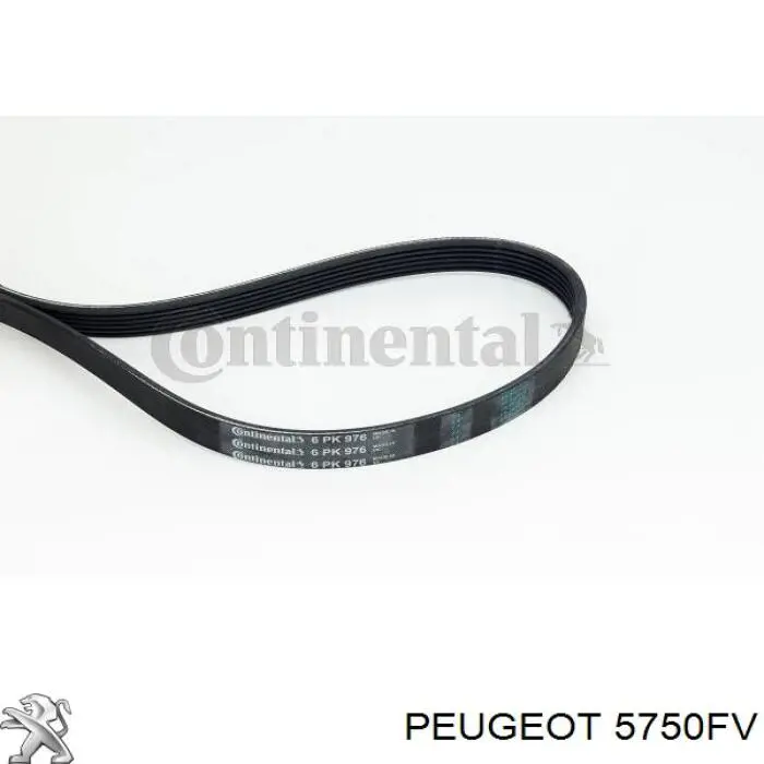 Клиновый ремень Peugeot/Citroen 5750FV цена, от 9.01 USD