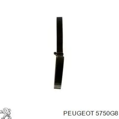 Ремень генератора 5750G8 Peugeot/Citroen