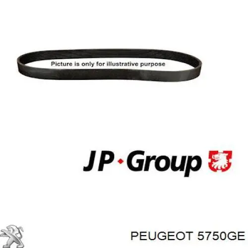 5750GE Peugeot/Citroen ремень генератора
