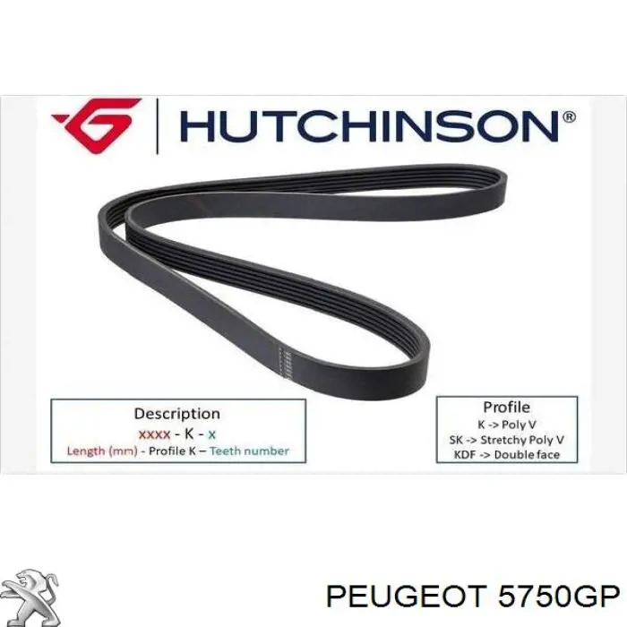 Клиновый ремень Peugeot/Citroen 5750GP цена, от 10.15 USD