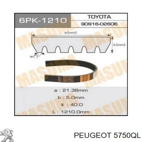 Ремень генератора 5750QL Peugeot/Citroen