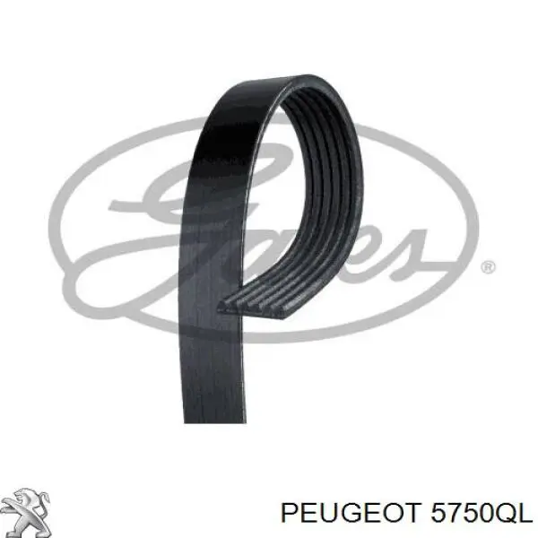 5750QL Peugeot/Citroen ремень генератора