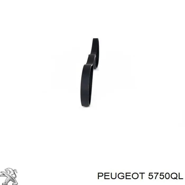 Клиновый ремень Peugeot/Citroen 5750QL цена, от 13.12 USD