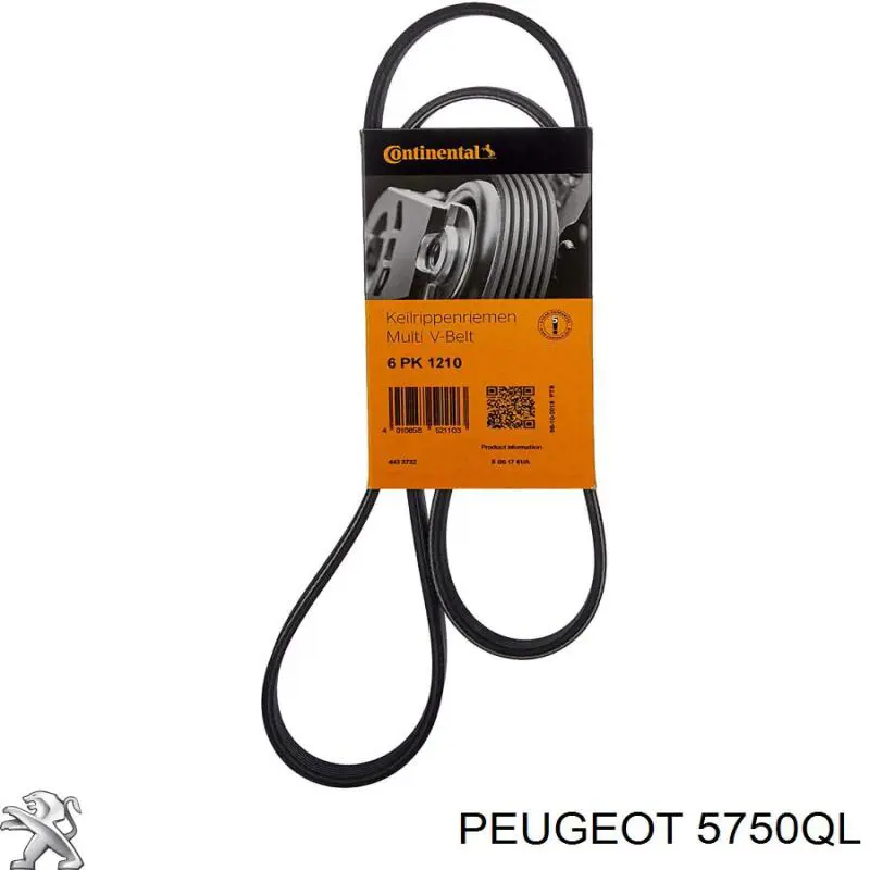 Купить 5750QL Peugeot/Citroen Ремень генератора