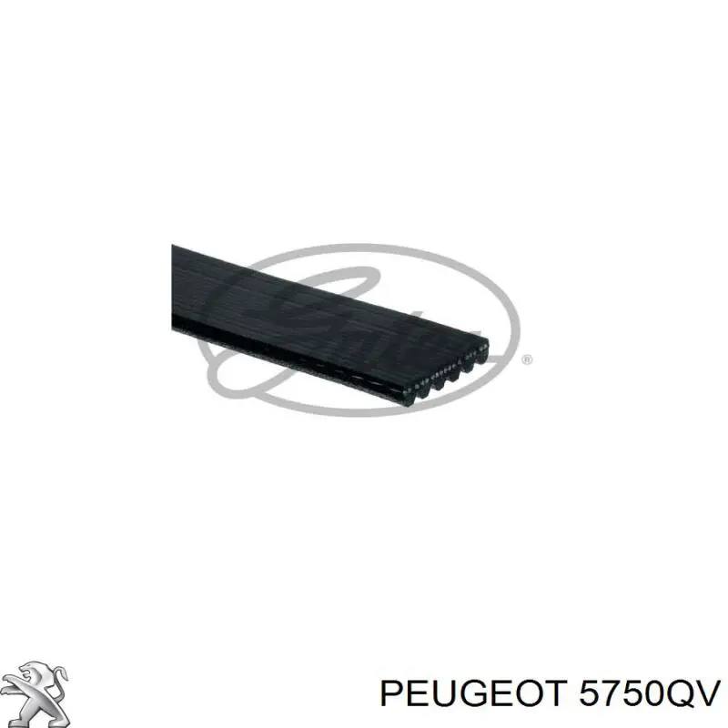 5750QV Peugeot/Citroen ремень генератора