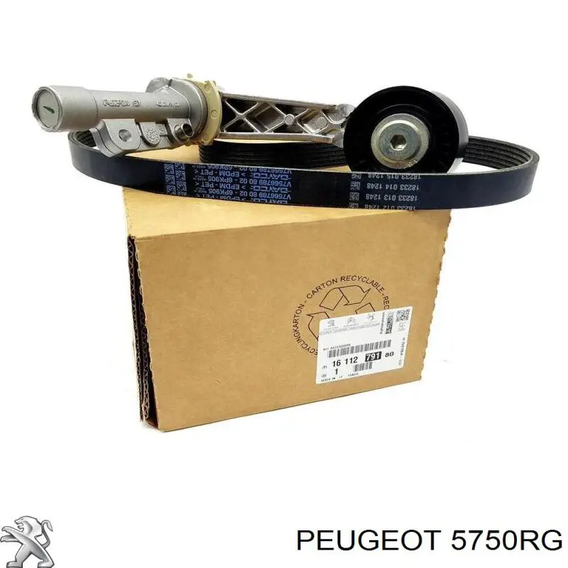5750RG Peugeot/Citroen Поликлиновый ремень