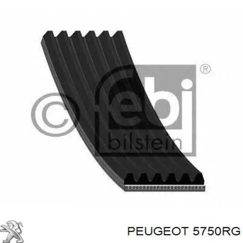 Купить 5750RG Peugeot/Citroen Ремень генератора