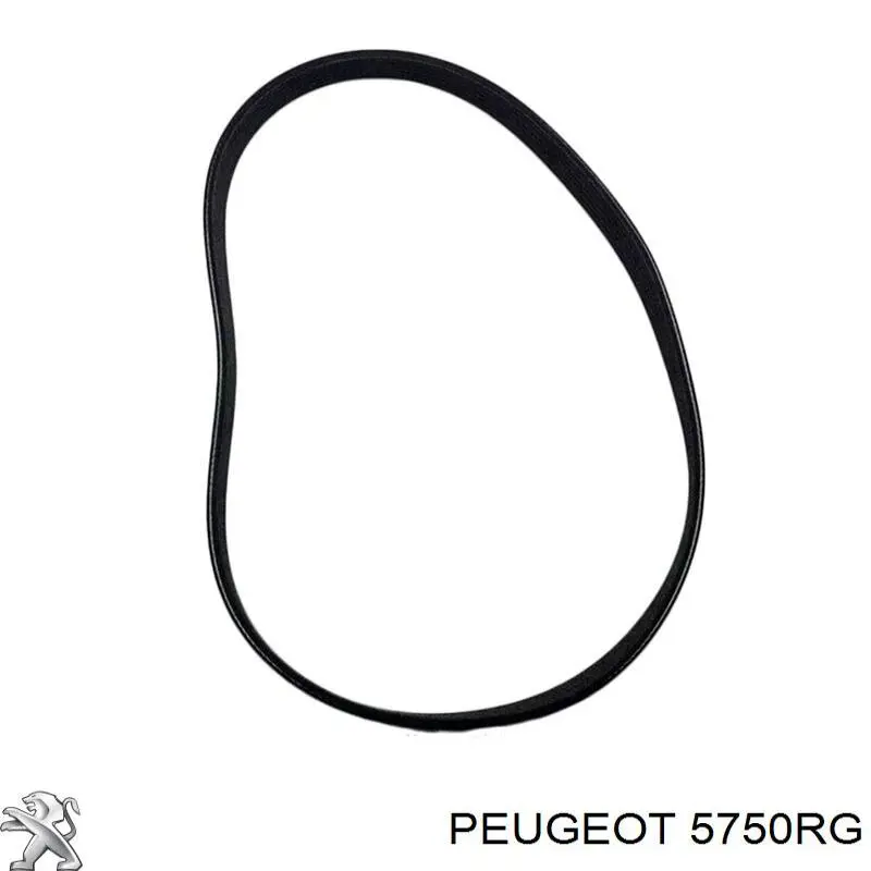 Клиновый ремень Peugeot/Citroen 5750RG цена, от 8.99 USD