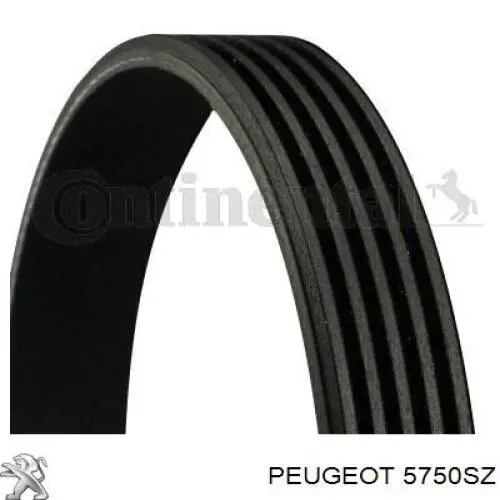 Купить 5750SZ Peugeot/Citroen Ремень генератора